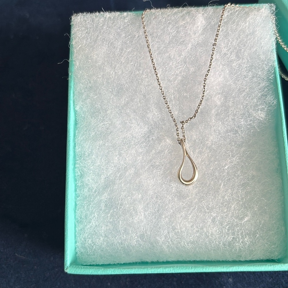 Tiffany & Co Necklace